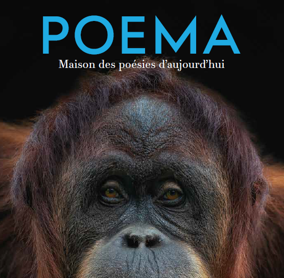 Poema 2024