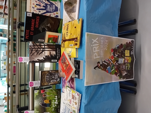 Table avec des livres présentés