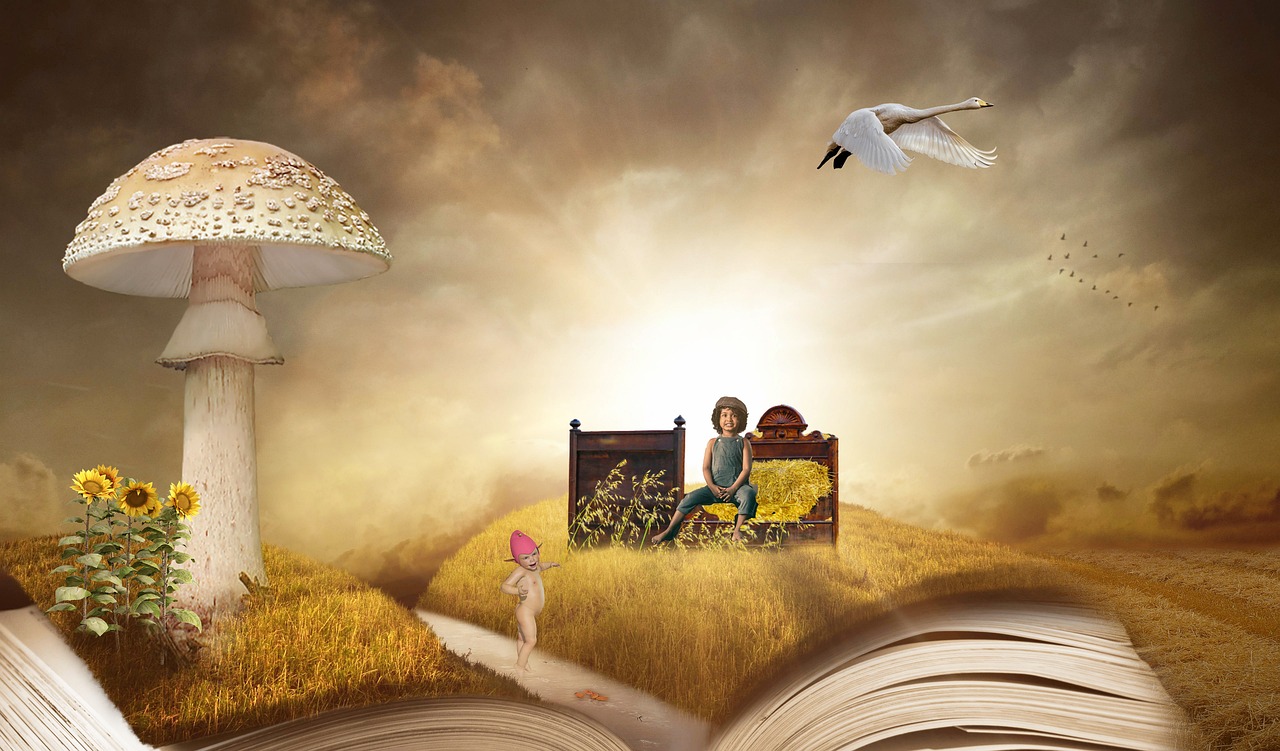 livre ouvert